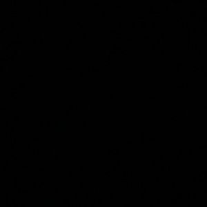 Meet your Posher, Taveen